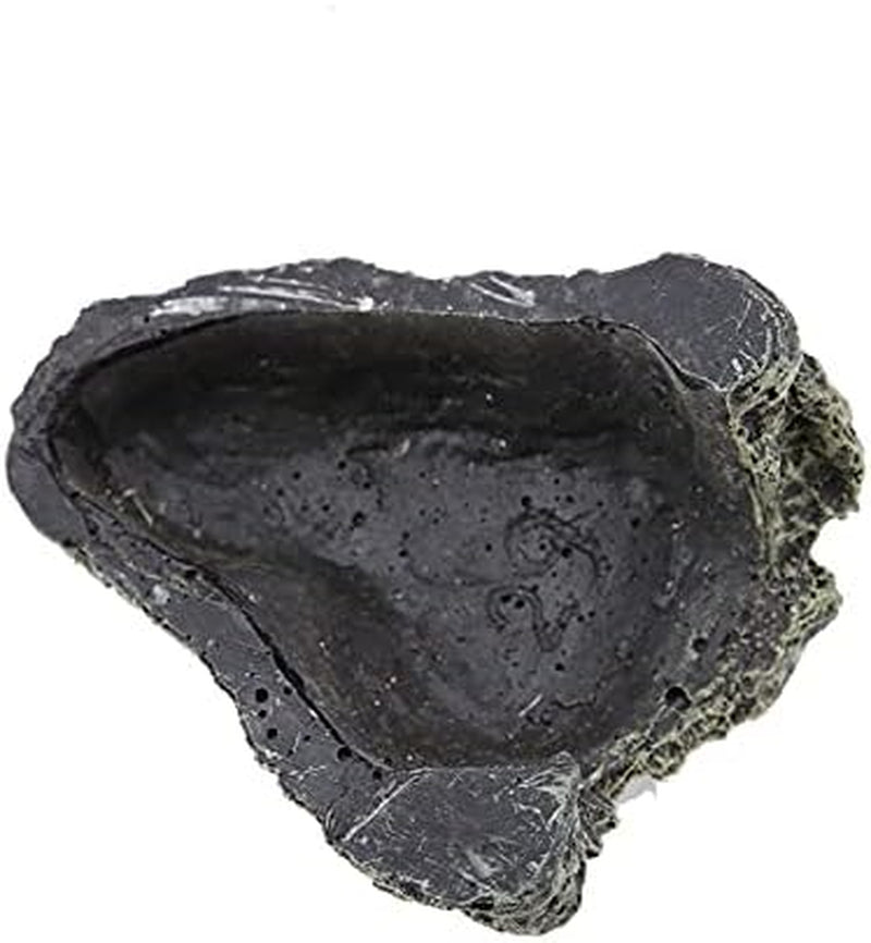 Reptile Hiding, Reptile Box Shelter Terrarium Hideout Caves for Aquarium Terrarium Decoration Ornament(Sll)